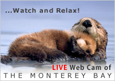 LIVE Web Cam of the Monterey Bay